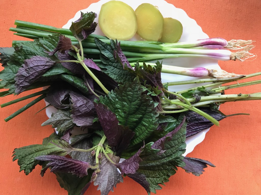 Perilla Leaf, Ginger, Scallion and Brown Sugar Tea