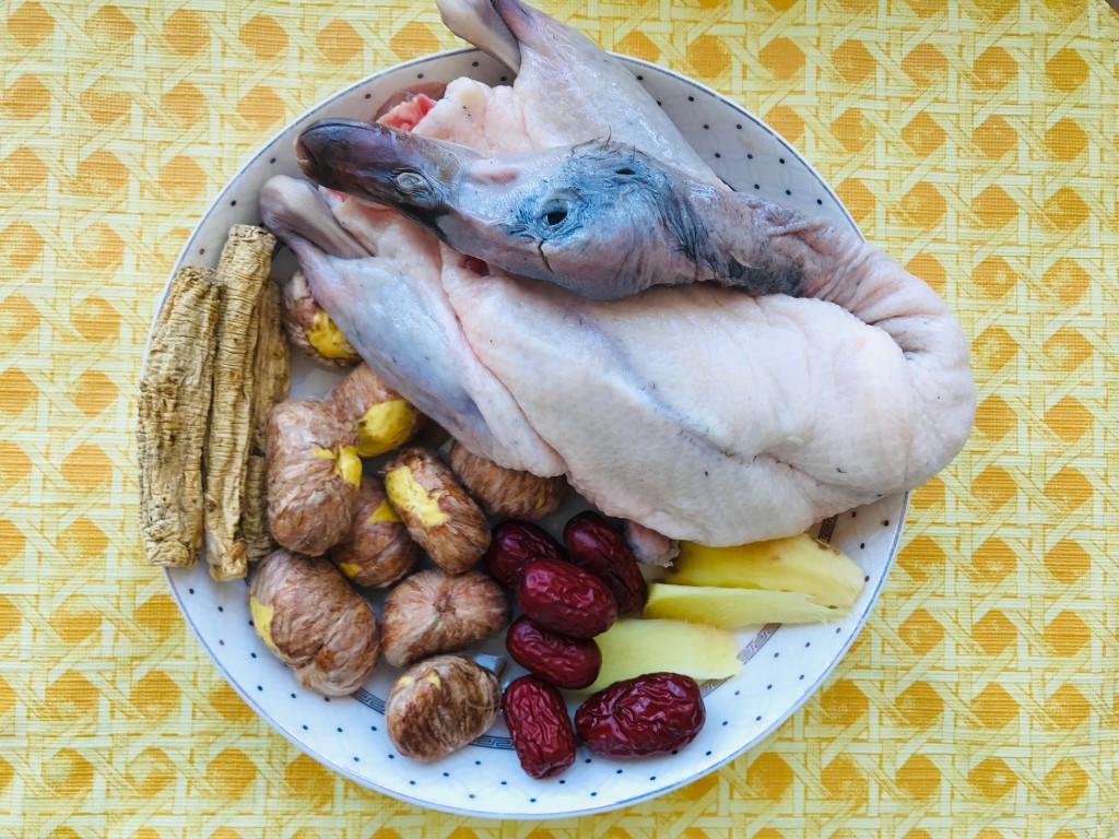 Codonopsis, Chestnut and Teal Duck Soup