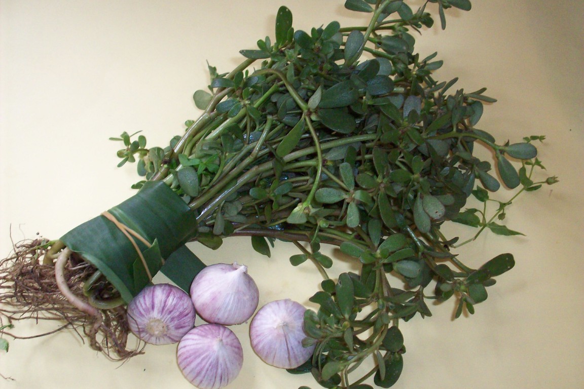 Purslane and Single-Clove Garlic Soup