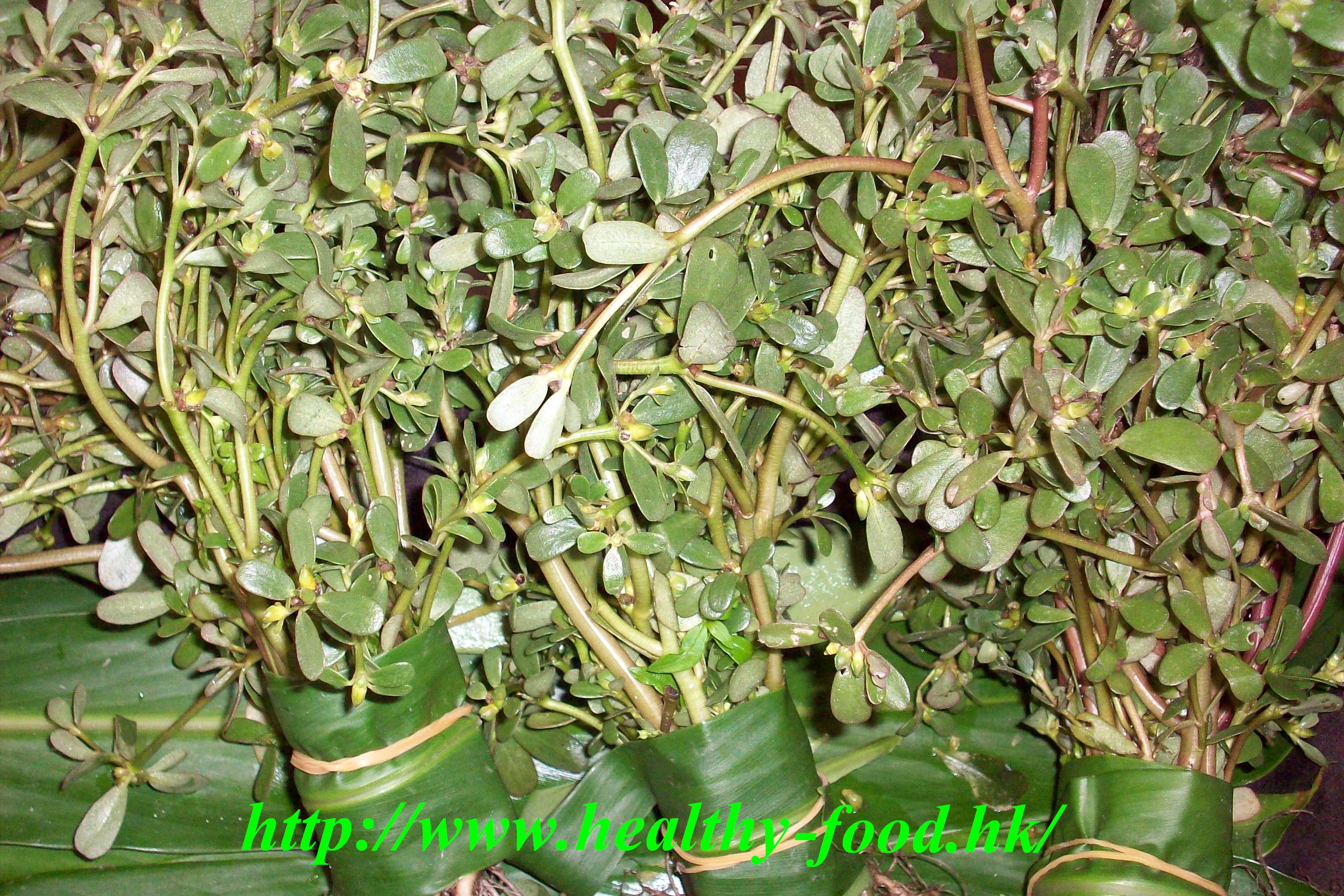 Purslane and Job's-Tears Barley Soup