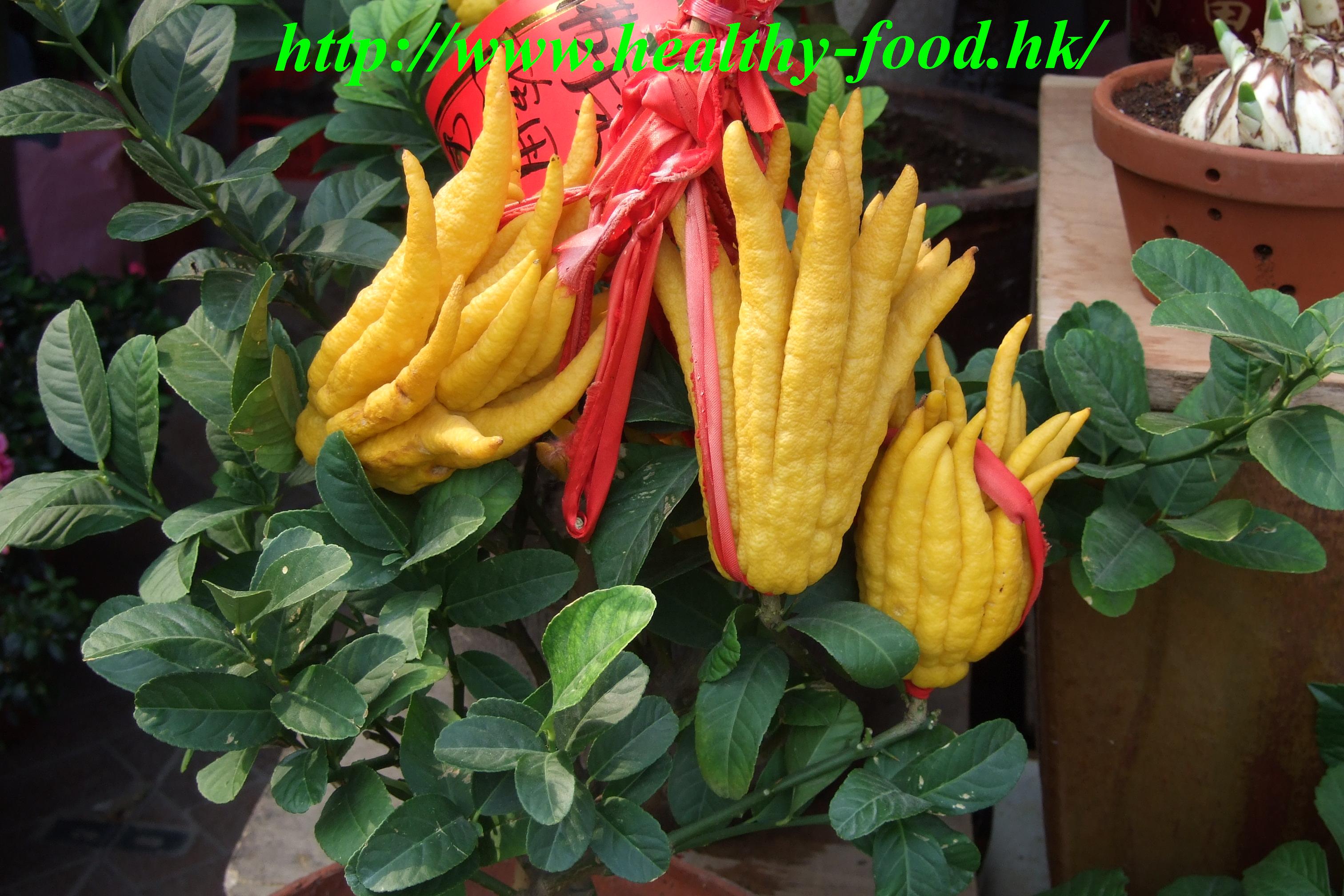 Finger-Citron Flower and Amomum Tea