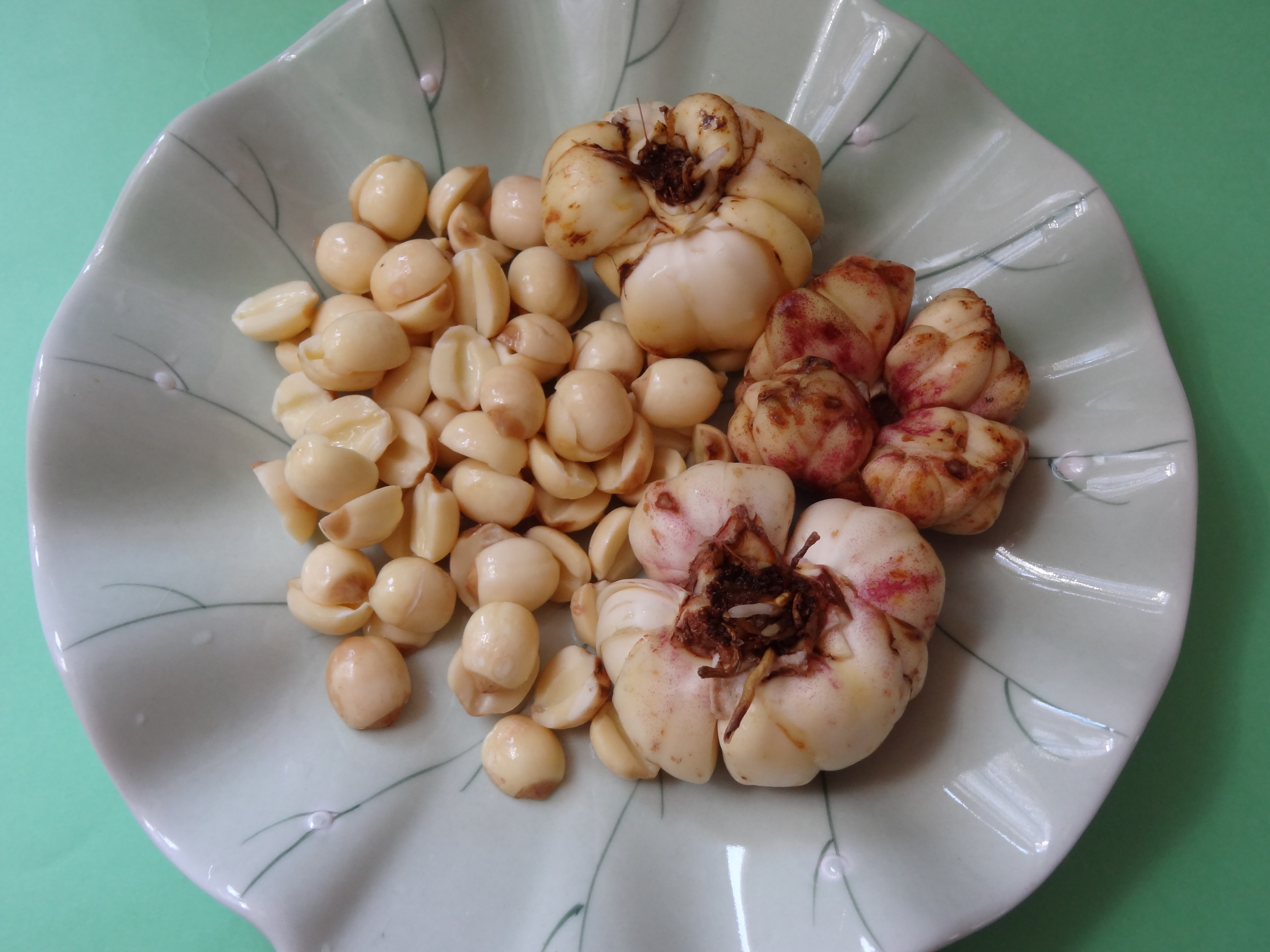 Fresh Lily Bulb and Lotus Seed Sweet Soup