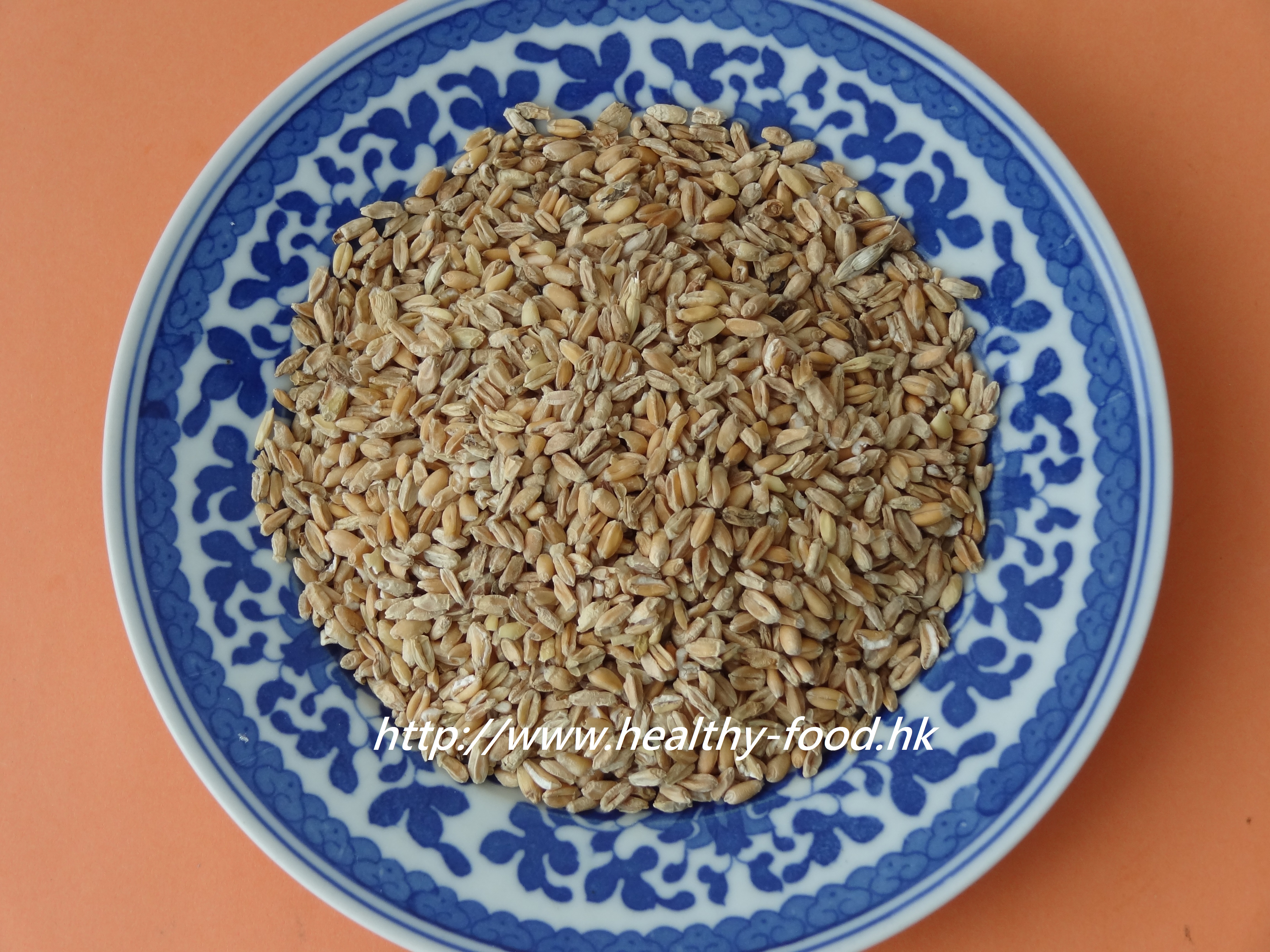 Toasted Floating Wheat Tea (Fu Xiao Mai Tea)