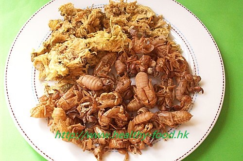 Cicada Shell Chrysanthemum Tea