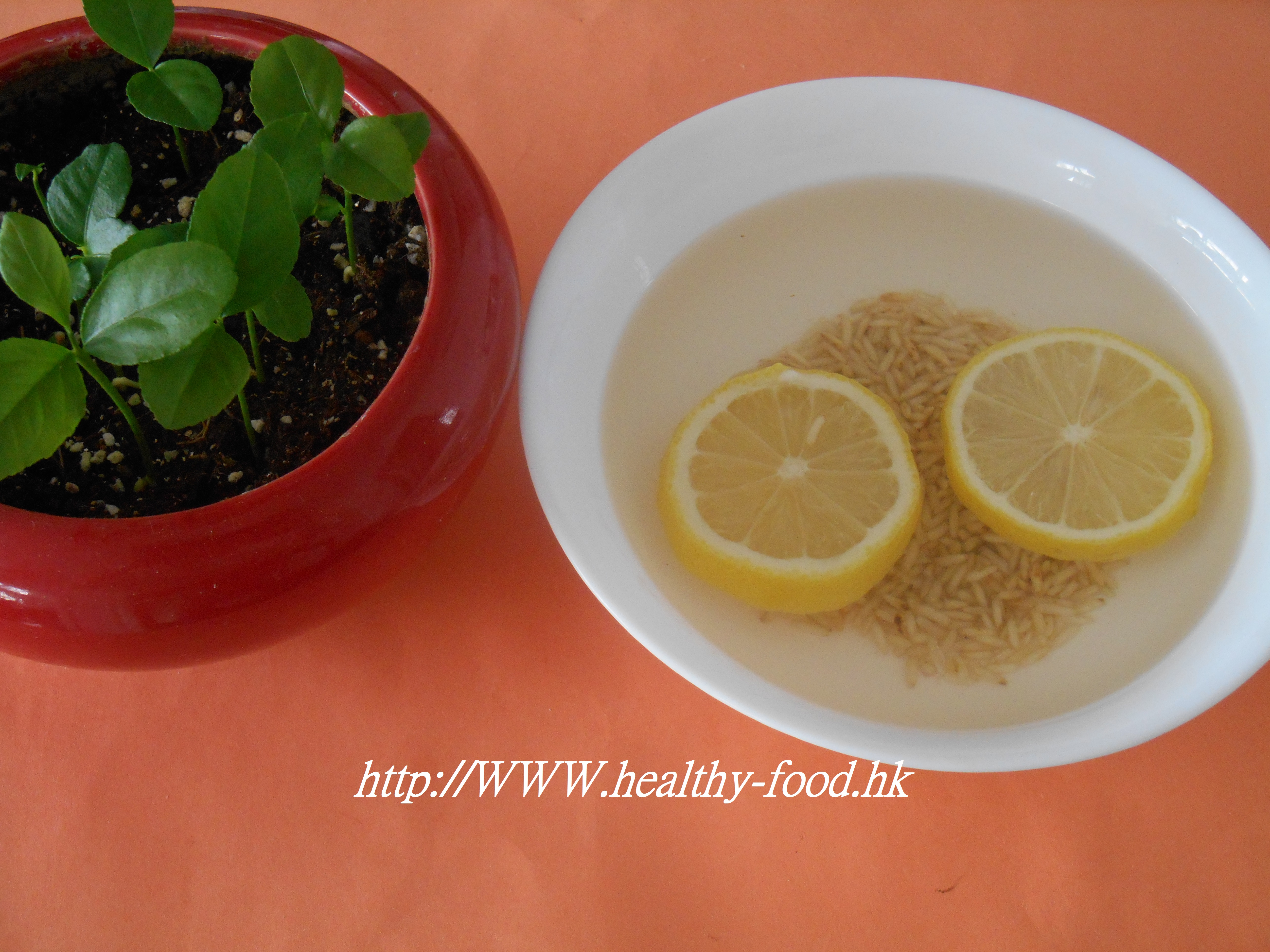 Lemon and Roasted Brown Rice Tea