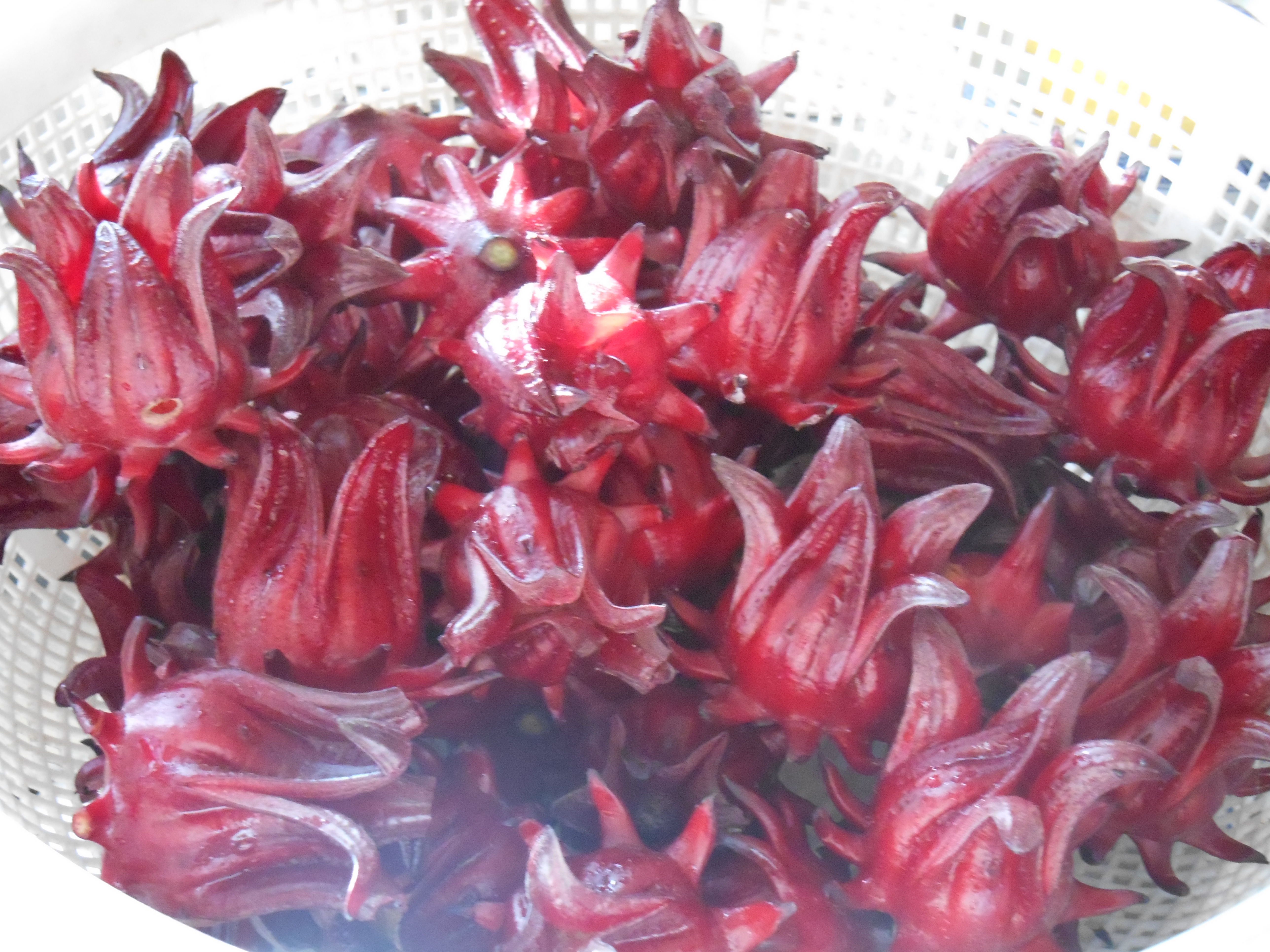 Roselle Flower Candied Preserves