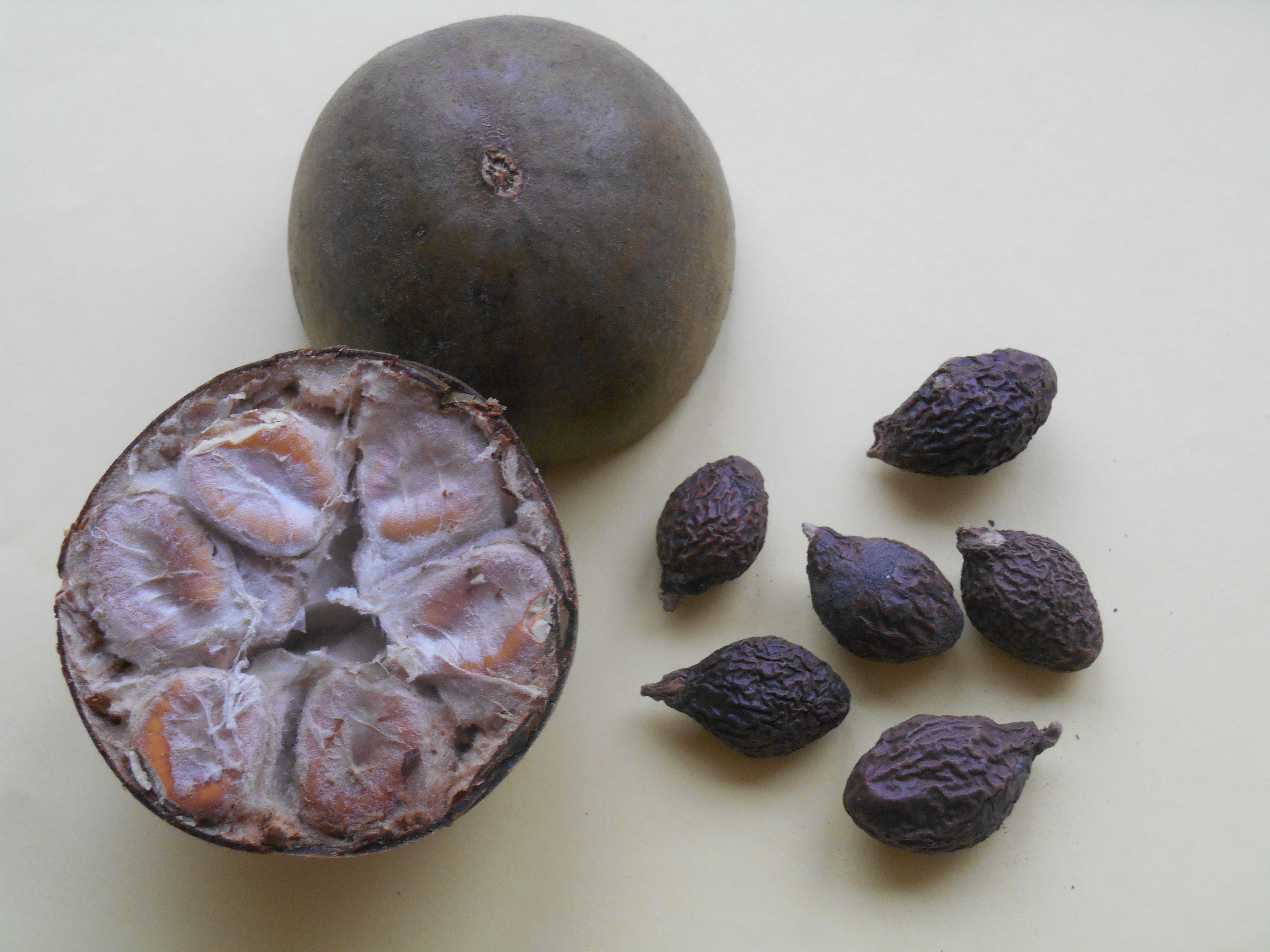 Luo Han Guo and Pang Da Hai Throat Tea