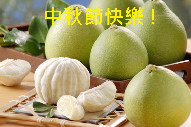 Spleen-Strengthening Dampness-Draining Soup (Jian Pi Qu Shi Tang)