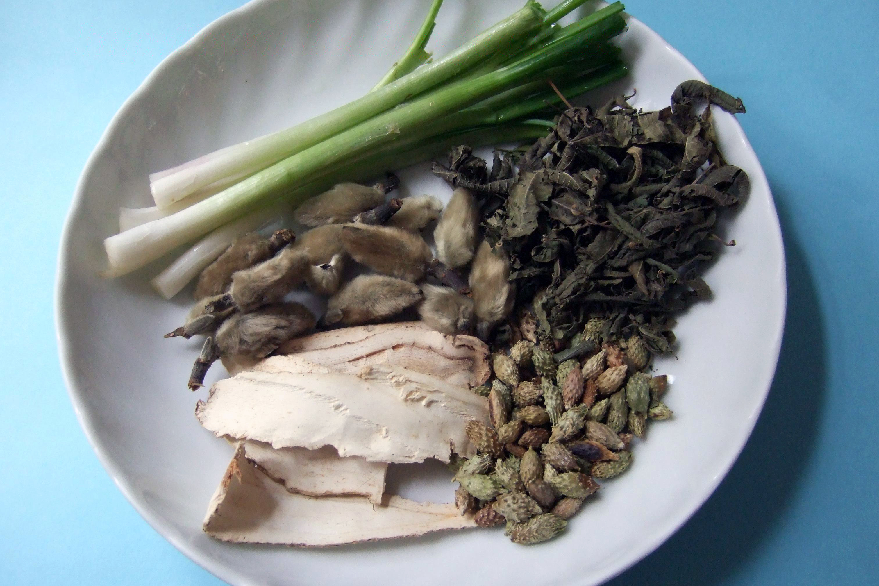 Magnolia Bud and Cocklebur Tea