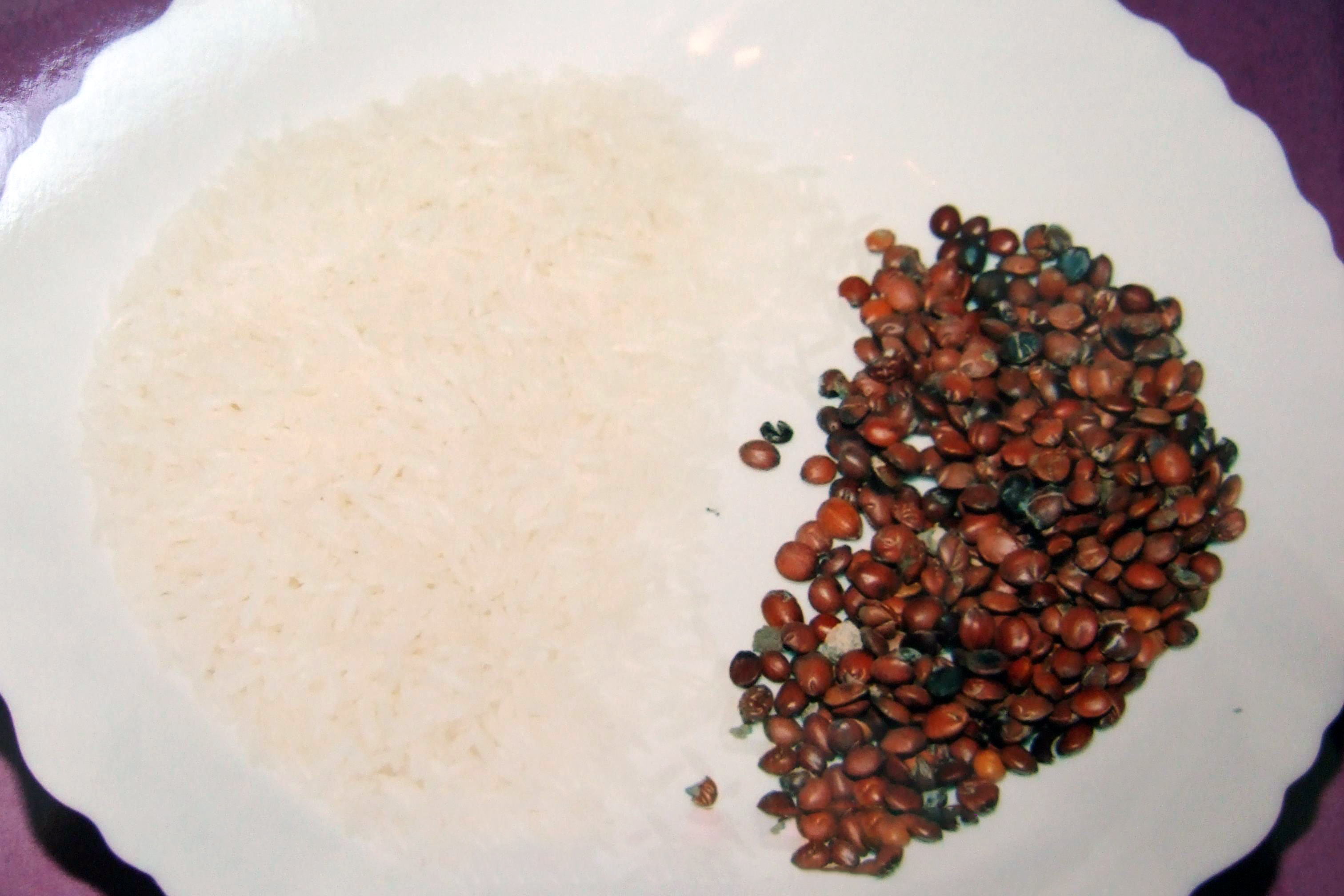 Sour Jujube Seed Congee (Suan Zao Ren Zhou)
