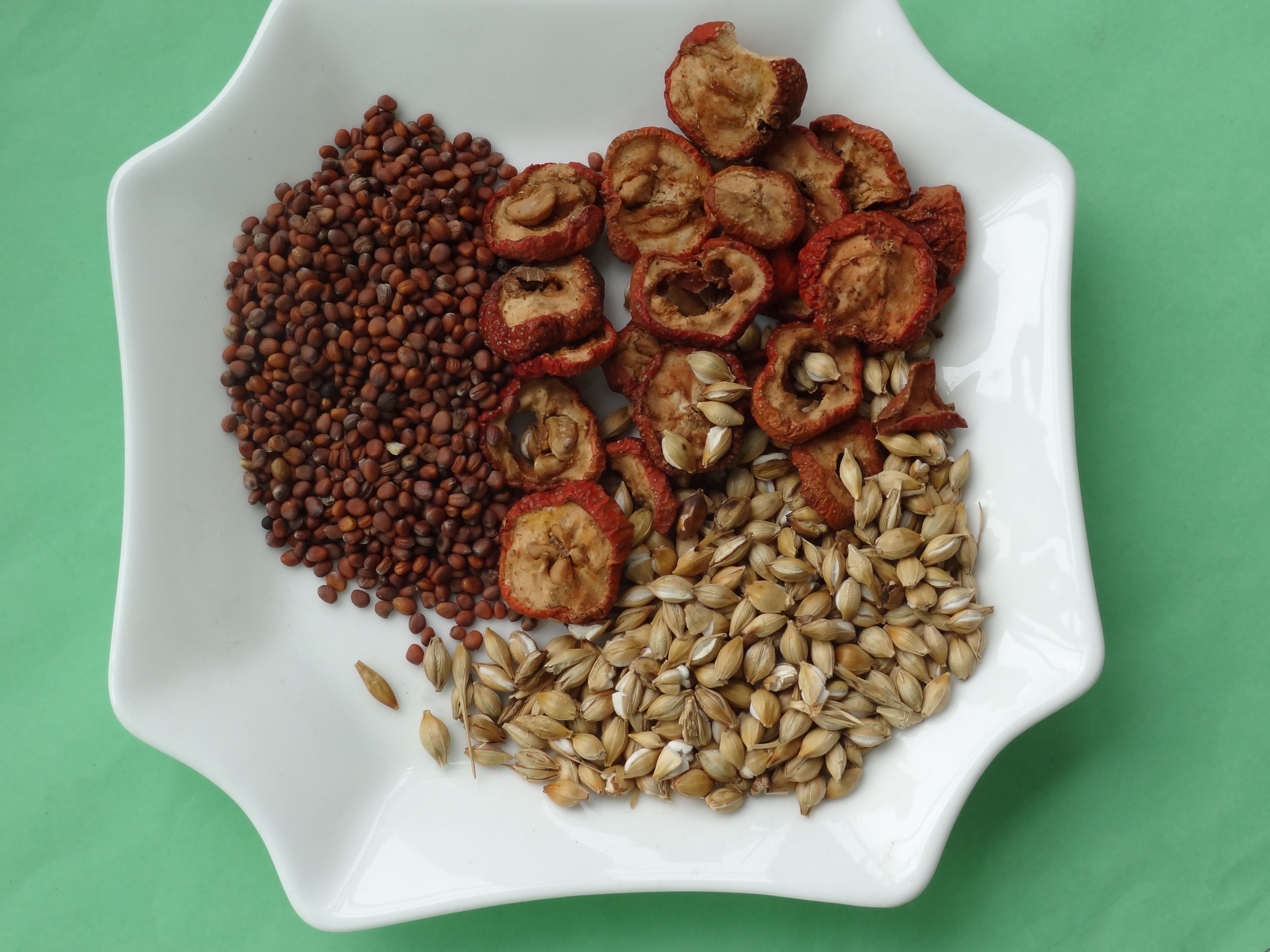 Hawthorn, Roasted Malt & Radish Seed Tea