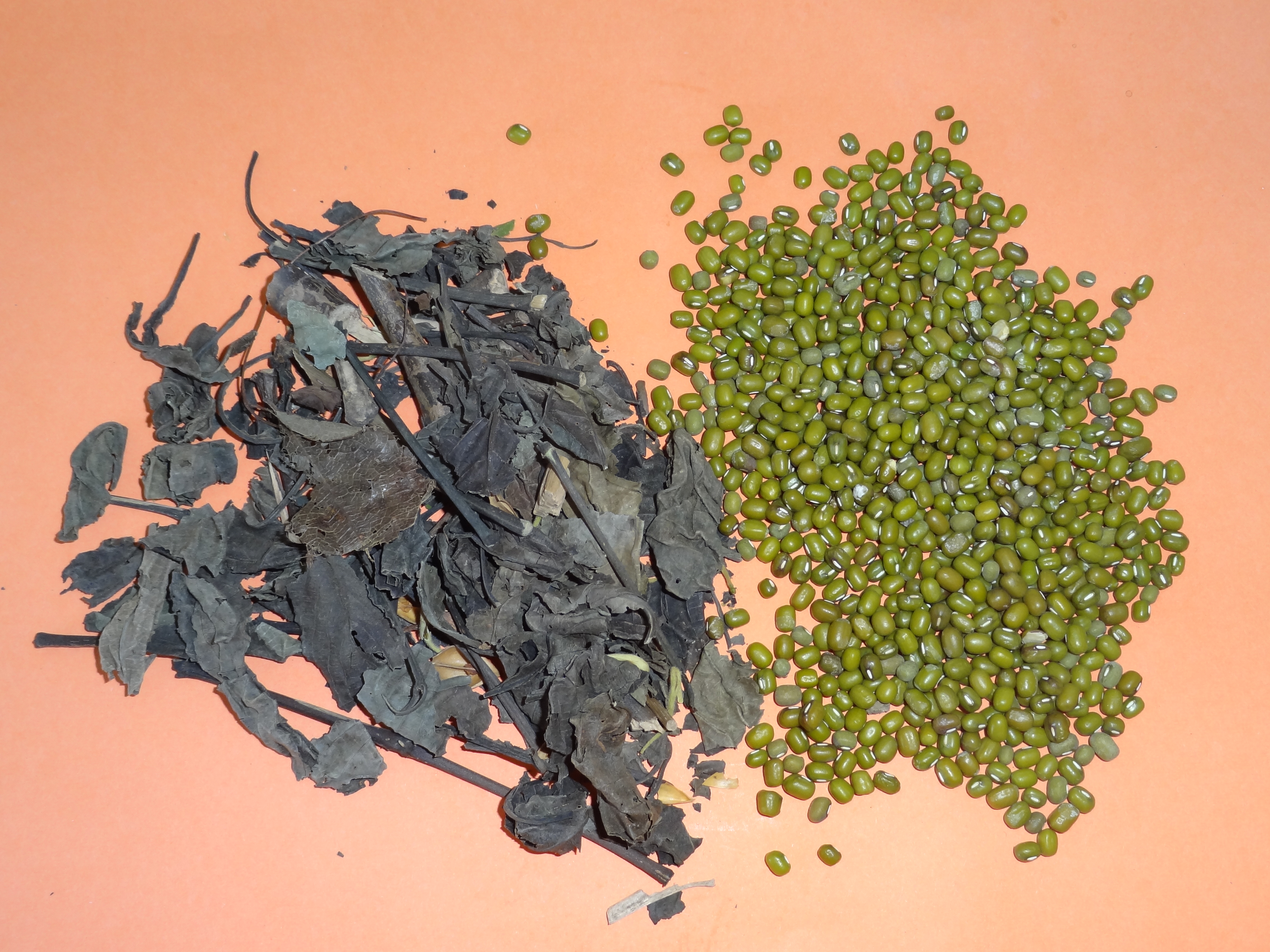 Isatis Leaf Mung Bean Soup; Lotus Leaf Winter Melon Coix Water