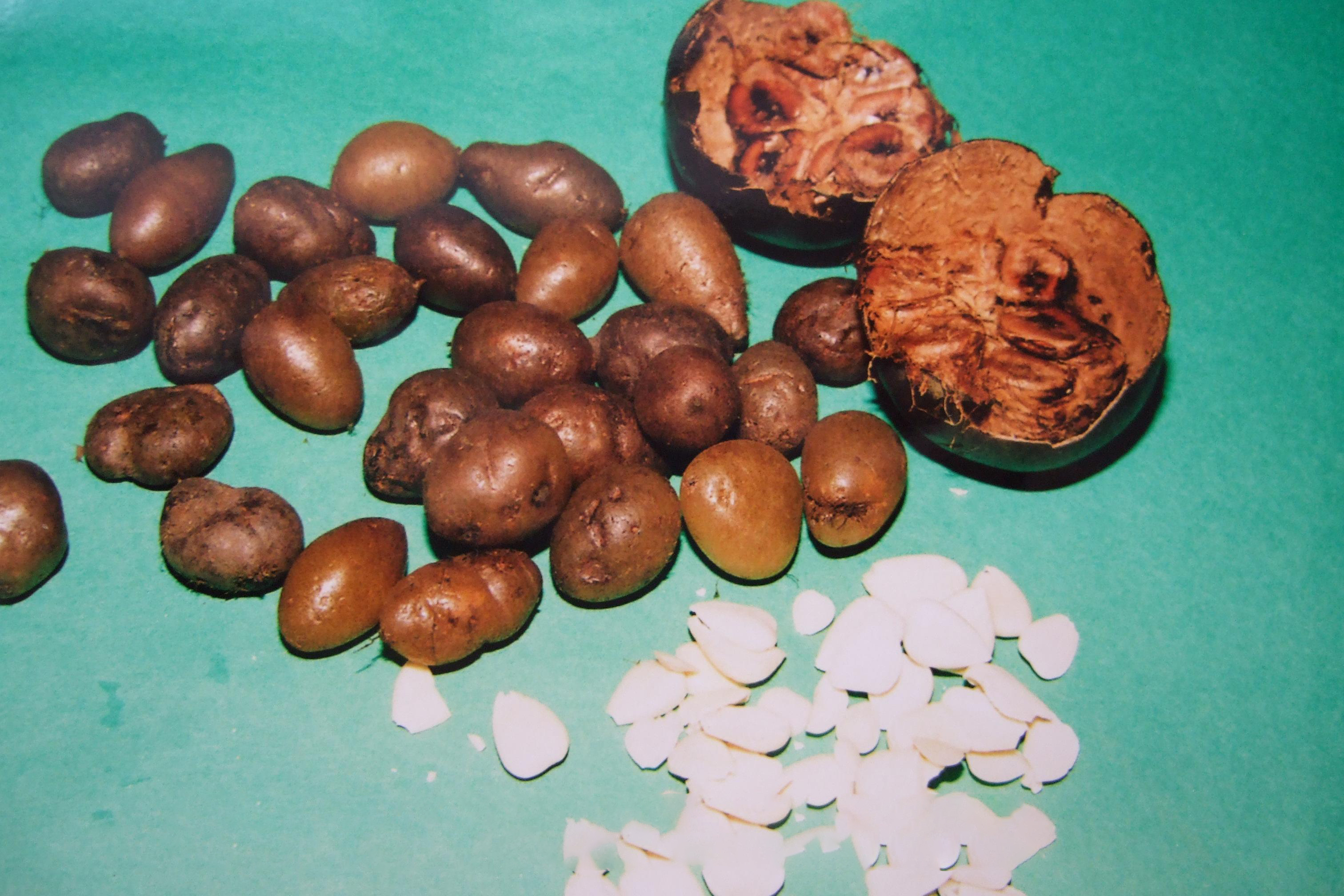Shek Wong Pei, Monk Fruit (Luo Han Guo) & Apricot Kernel Tea