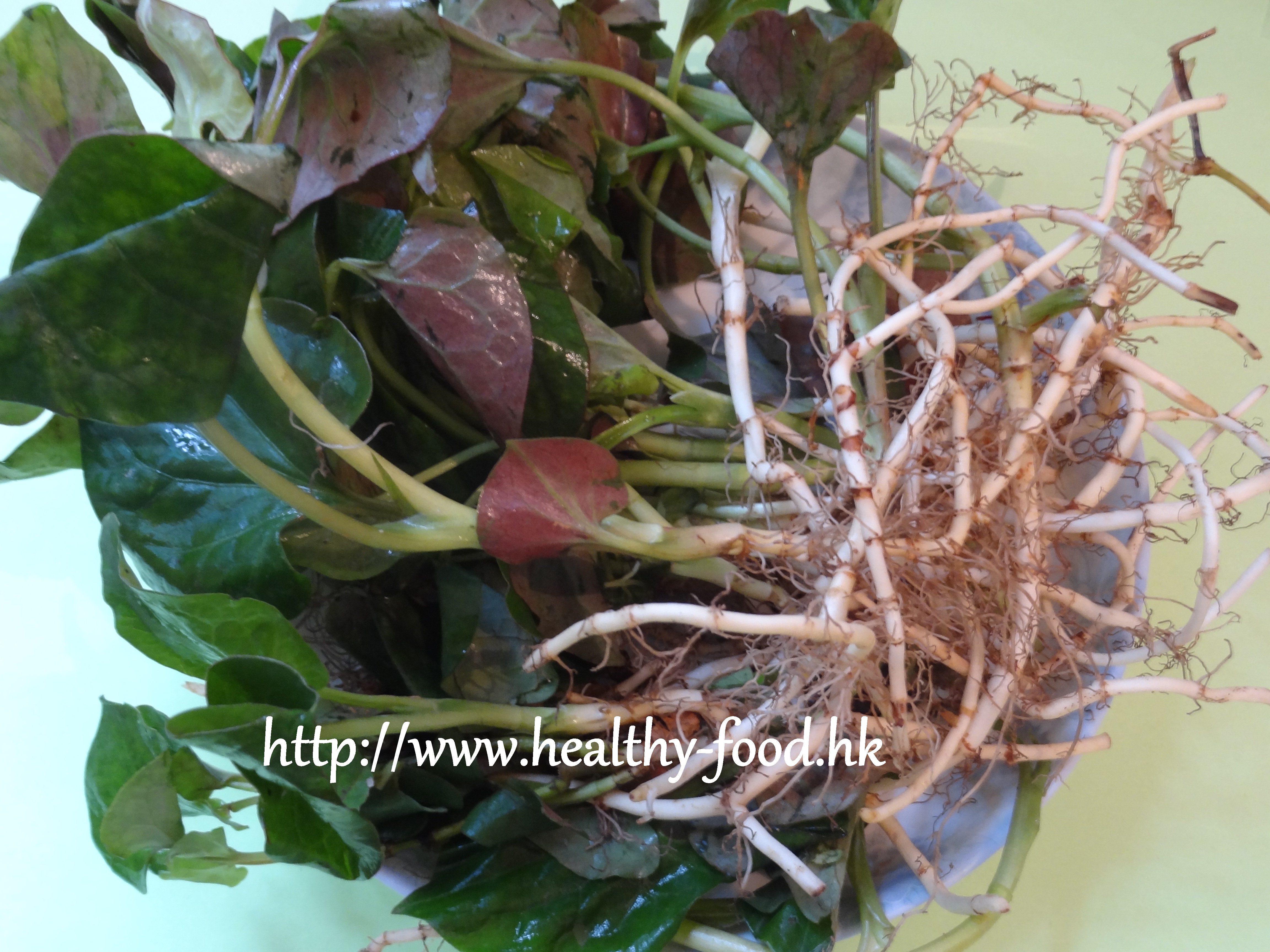 Asparagus Root, Ophiopogon Root, and Loquat Leaf Tea