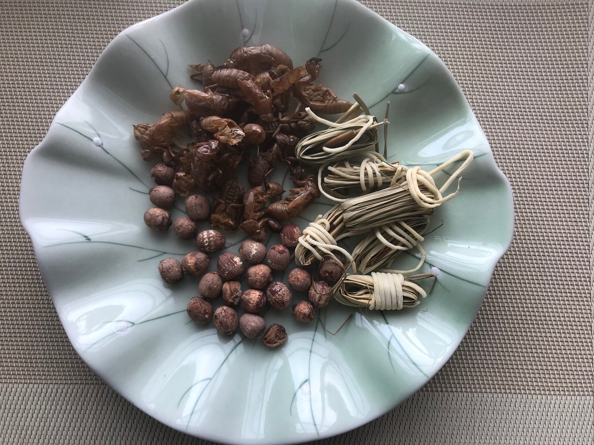 Lotus Seed, Cicada Shell and Rush Pith Soup