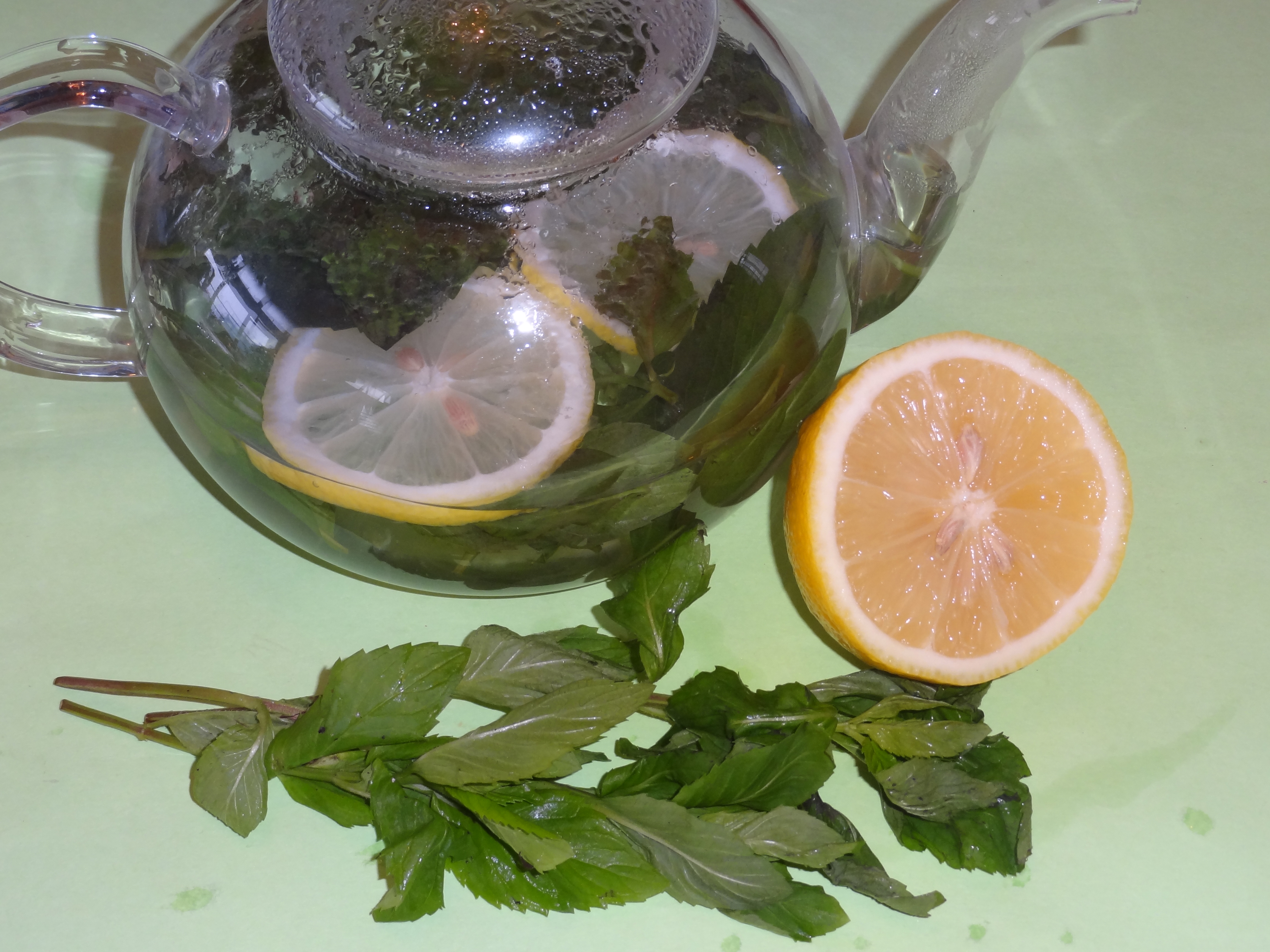 Fresh Lemon and Mint Tea