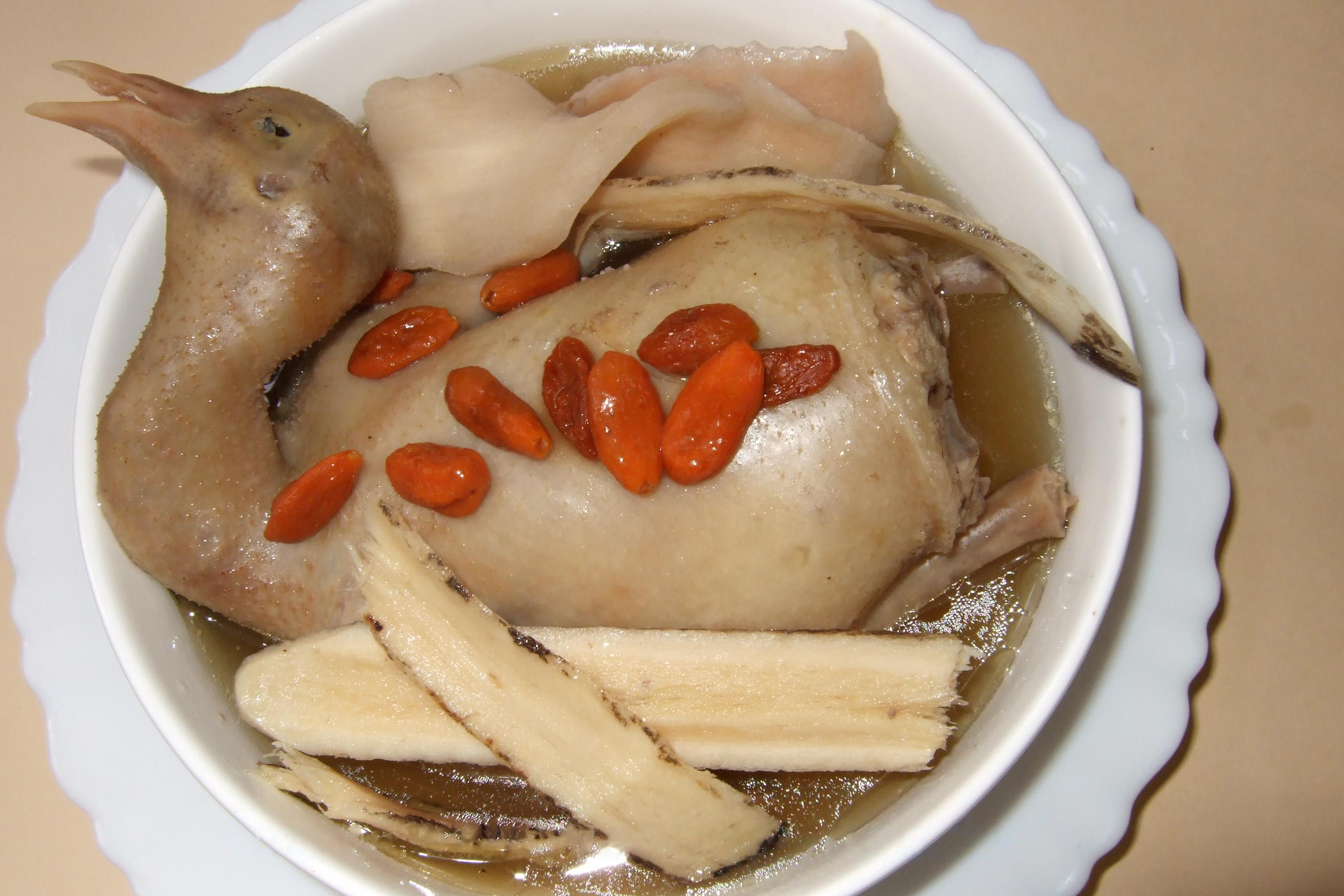 Astragalus, Chinese Yam, Goji Berry & Squab Pigeon Soup