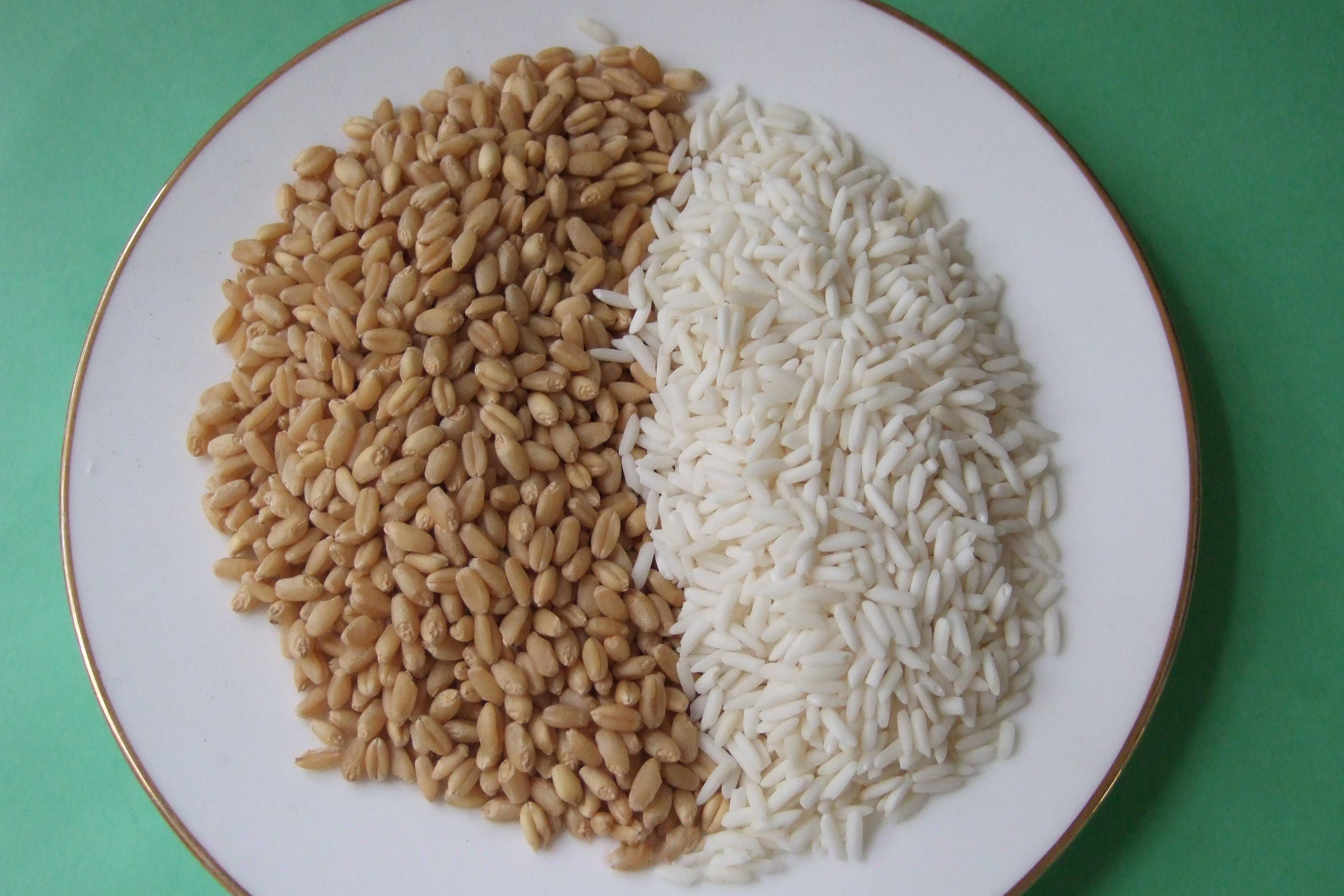 Glutinous Rice and Wheat Porridge