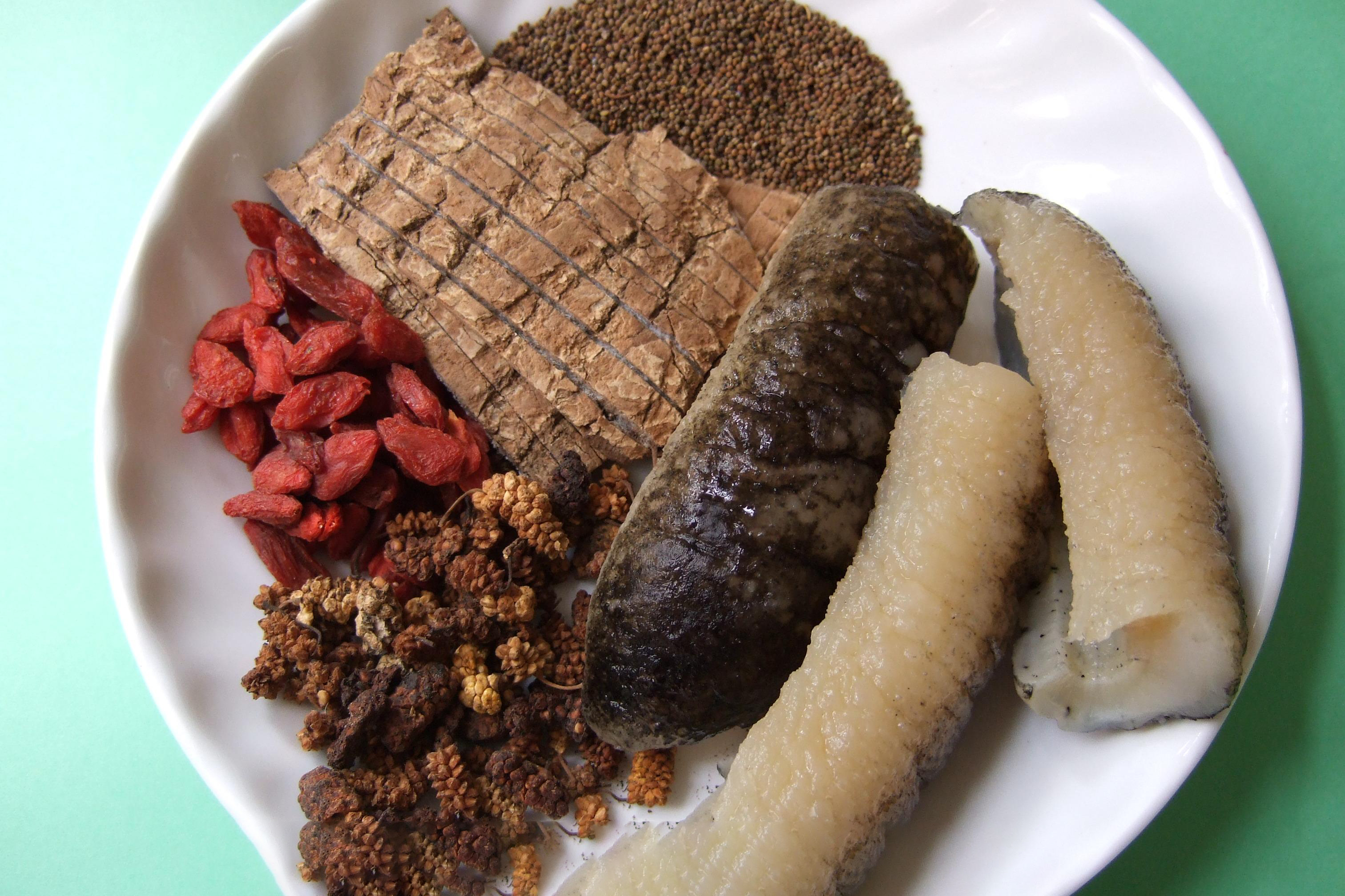 Three-Seed, Eucommia and Sea Cucumber Soup (San Zi Du Zhong Dun Hai Shen)
