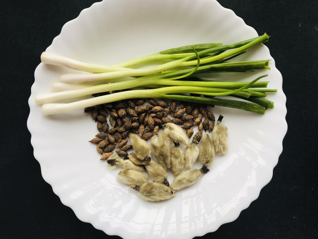 Magnolia Bud, Cocklebur & Spring Onion Tea